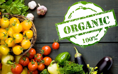 Национальный органический союз и Фонд поддержки производителей органической продукции «Органика» Россельхозбанка заключили соглашение о сотрудничестве
