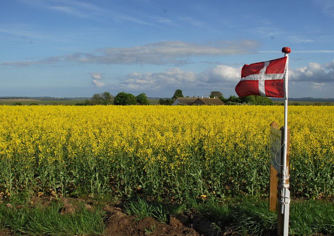Дания, первый органический рынок в мире, нацелена на Италию