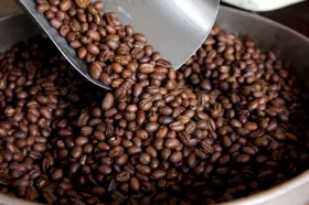 Перу и Эфиопия лидируют в мировом производстве органического кофе