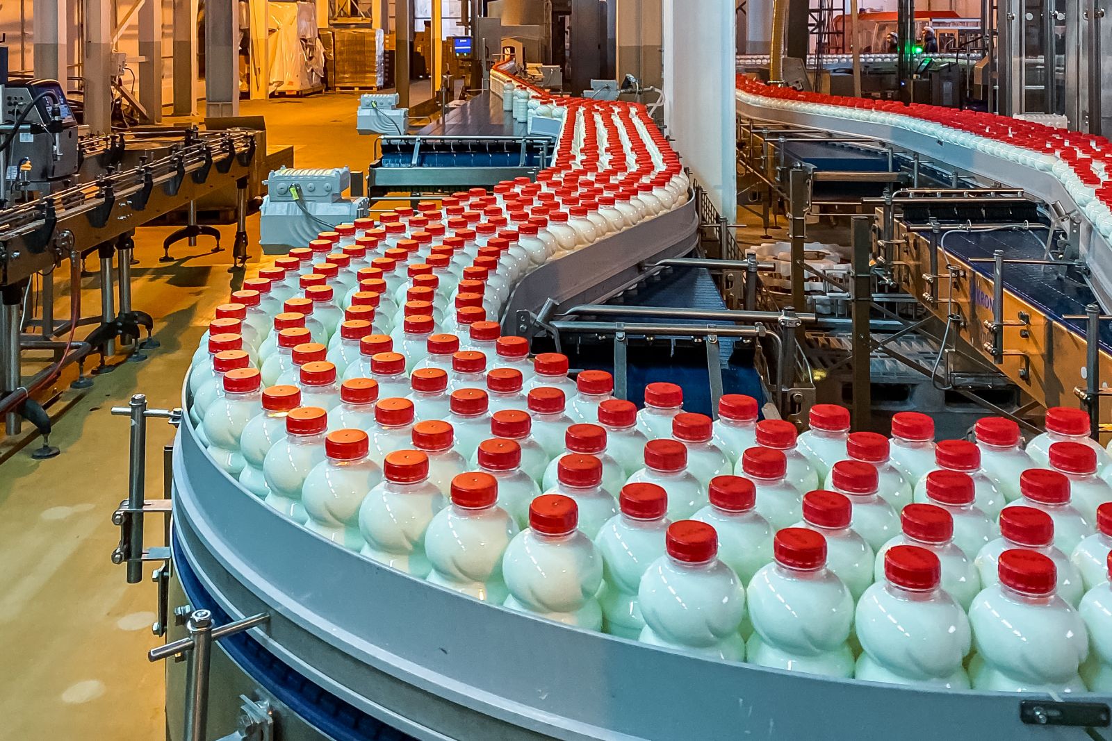 Российские ученые определили лучшие места производства органического молока