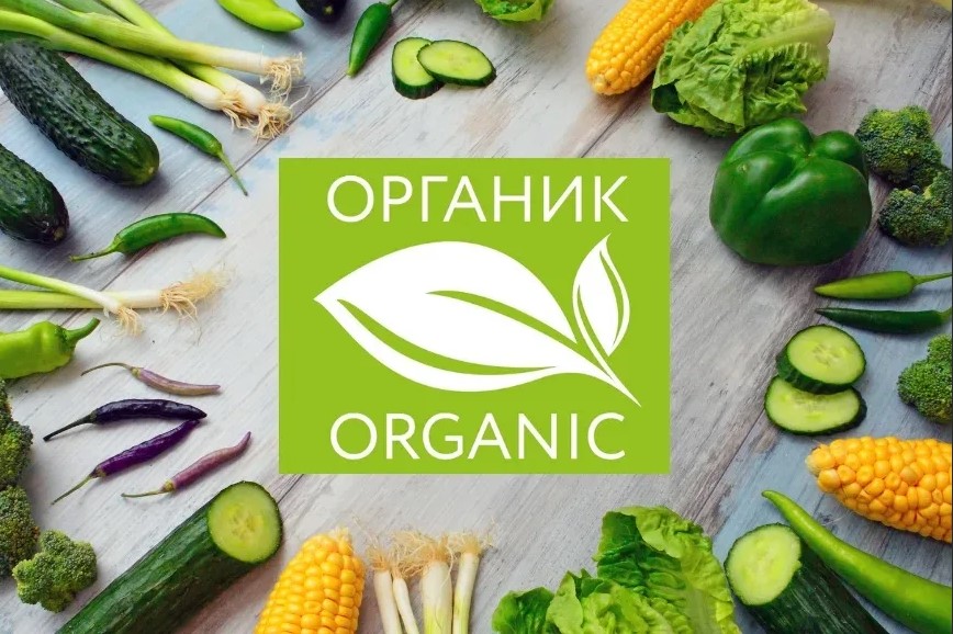 Число производителей органической продукции за 2022 год выросло на 46%