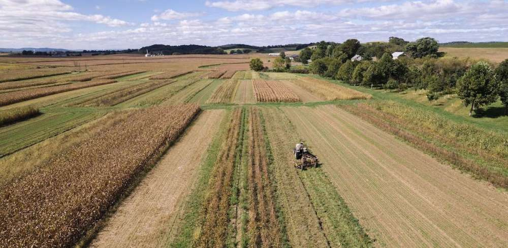Органическое сельское хозяйство дает более высокие урожаи в периоды экстремальных погодных условий - результаты 40-летнего исследования