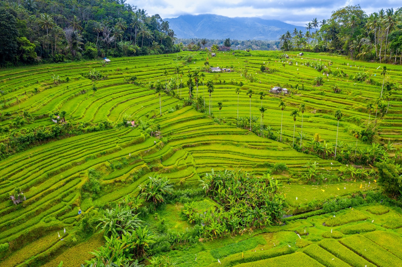 Сертифицированная Роскачеством халяльная и органическая продукция появится на рынке Индонезии