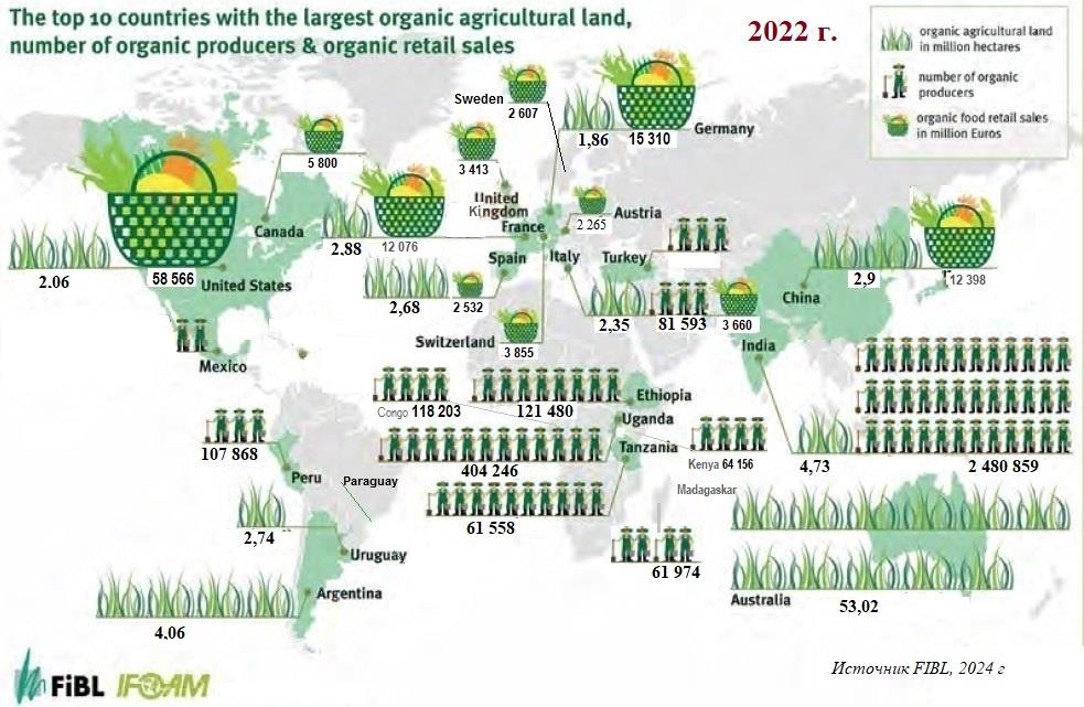 Обзор мирового органического рынка и рынка России на конец 2023 года
