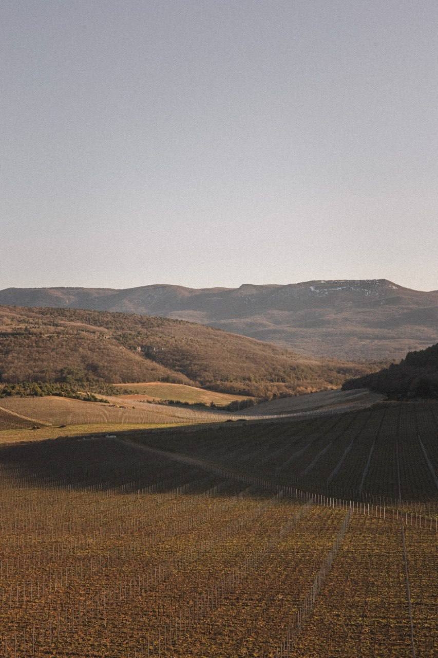 В России утвердили изменения в ГОСТ на органическую продукцию