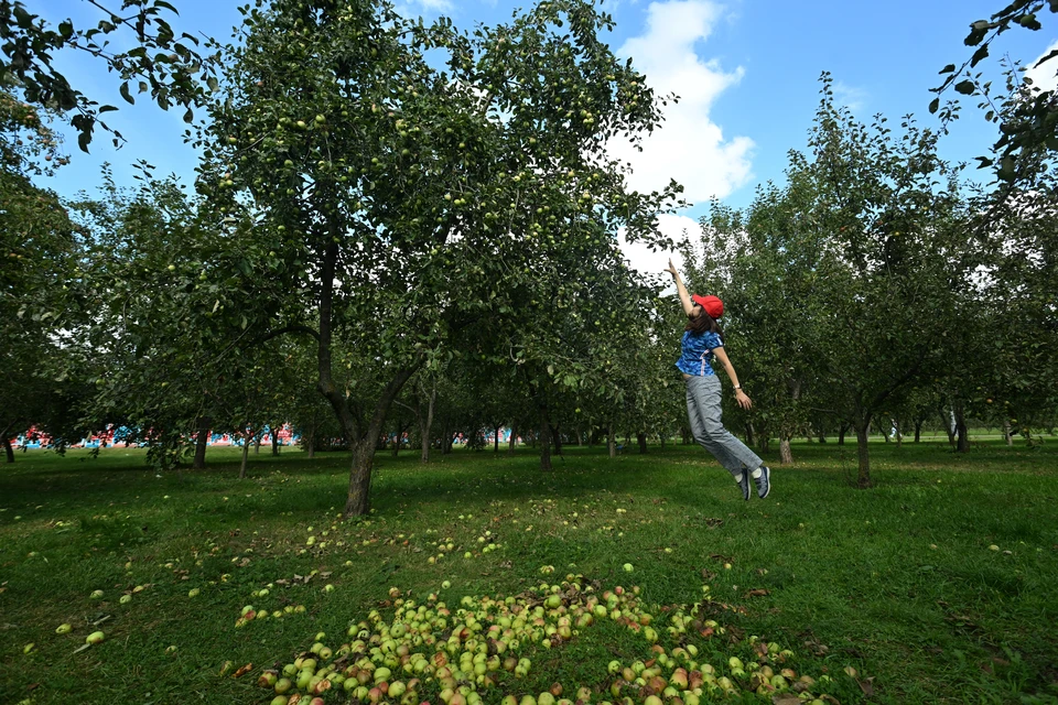 Воронежская область стала первой в Европе по концентрации органических производств