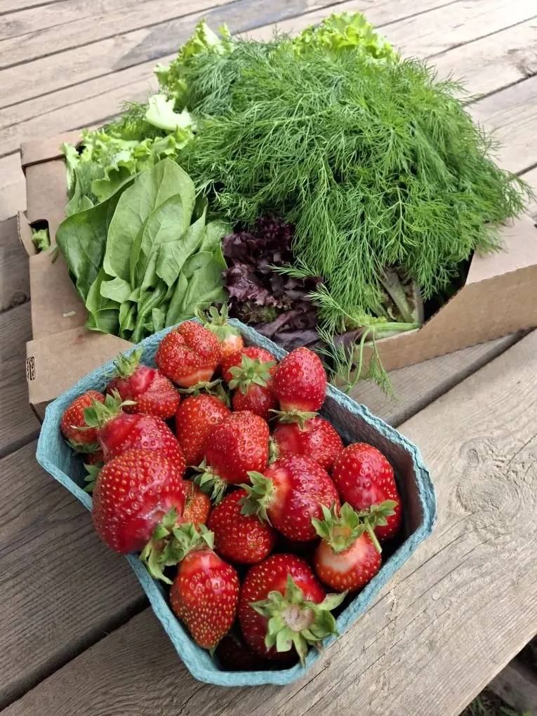 Почувствовать настоящий вкус лета совсем рядом с Москвой